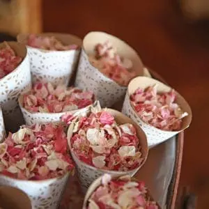 DSRW (181) copy DSRW 181 copy