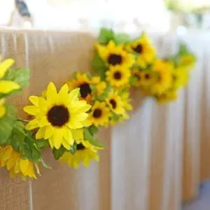 HDCW (424) copy HDCW 424 copy