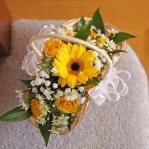 HDCW (63) copy HDCW 63 copy