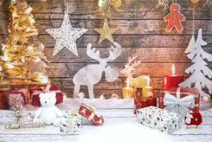 Christmas photo shoot Reindeer