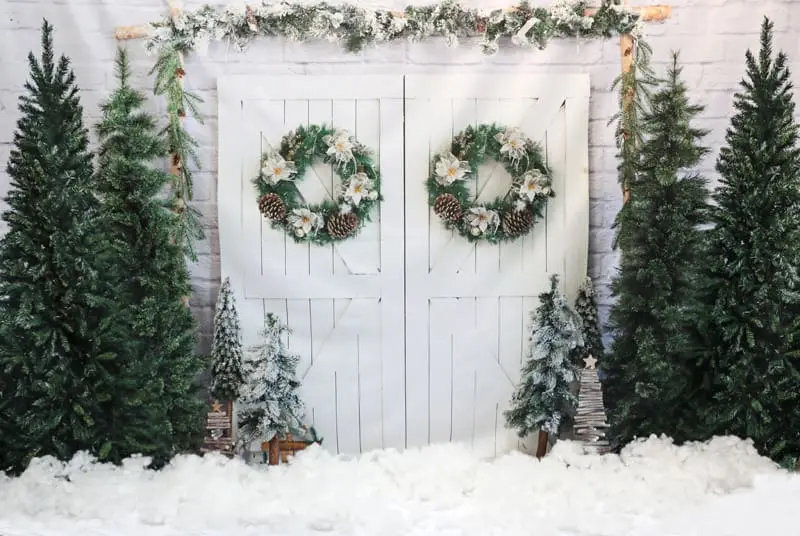 Christmas door cold winter snow backdrop photo shoot