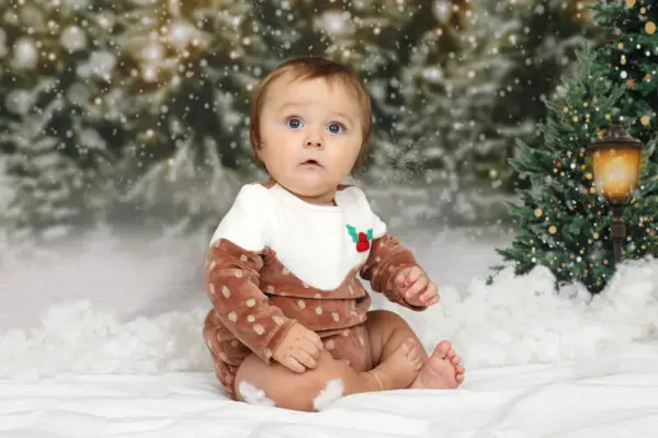 Forest christmas example