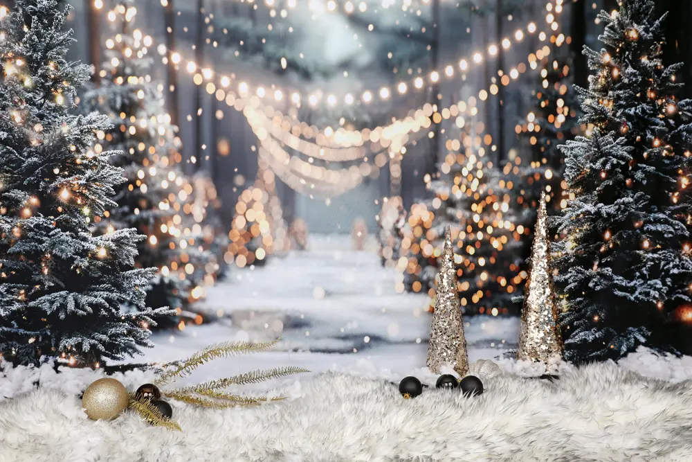 Forest Christmas photo shoot magical lights
