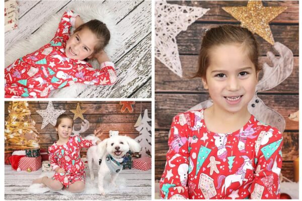 Reindeer multi copy
